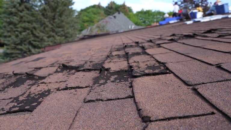 Fast & Reliable Emergency Roof Repairs in Leavittsburg, OH